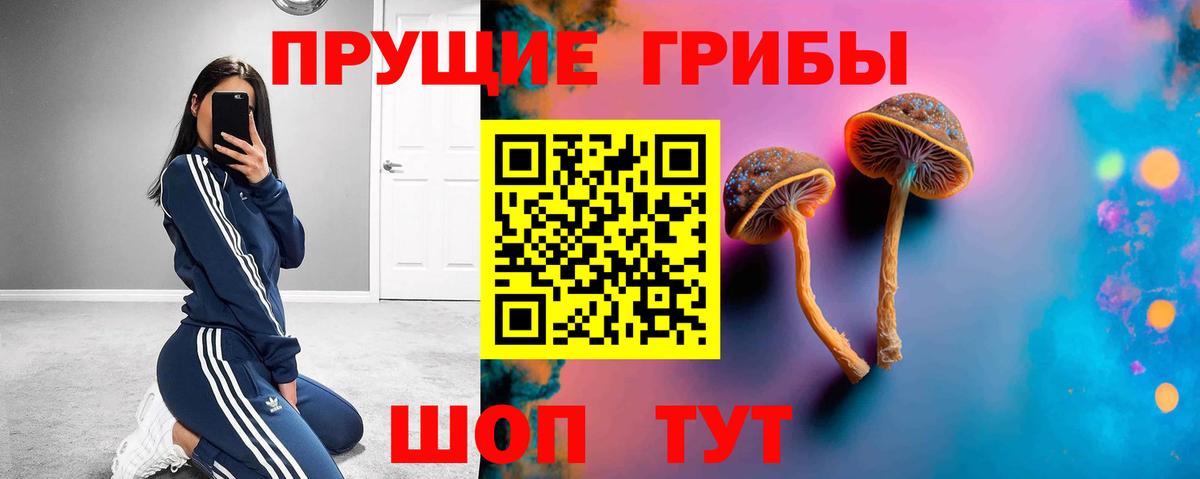 Псилоцибиновые грибы Cubensis Воронеж