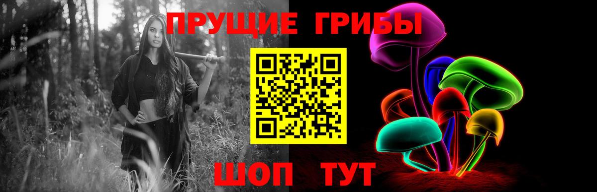 Псилоцибиновые грибы мицелий  Воронеж 